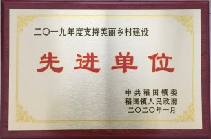 公司2019年爭先創(chuàng)優(yōu)榮譽